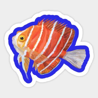 Watercolor Striped Angelfish Sticker